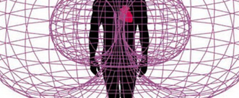 Le corps humain utilisé comme réseau magnétique