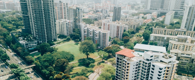 Google annonce un outil pour aider les villes à se verdir