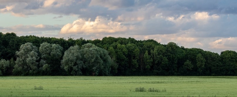 Le Sénat adopte une proposition de loi pour réduire l’impact écologique du numérique