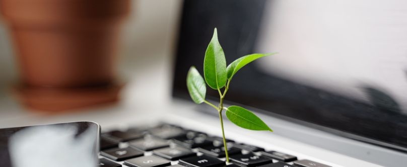 Transformation numérique durable : les 5 axes clés de la loi REEN Transformation numérique durable : les 5 axes clés de la loi REEN